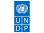 UNDP Logo PNG - Small